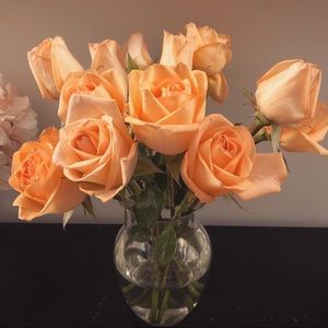 Meet your Posher, Szu-tung